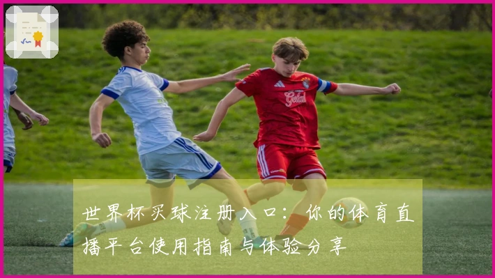 世界杯买球注册入口：你的体育直播平台使用指南与体验分享