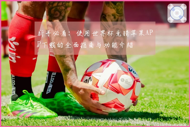 新手必看：使用世界杯竞猜苹果APP下载的全面指南与功能介绍