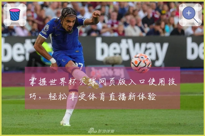 掌握世界杯买球网页版入口使用技巧，轻松享受体育直播新体验