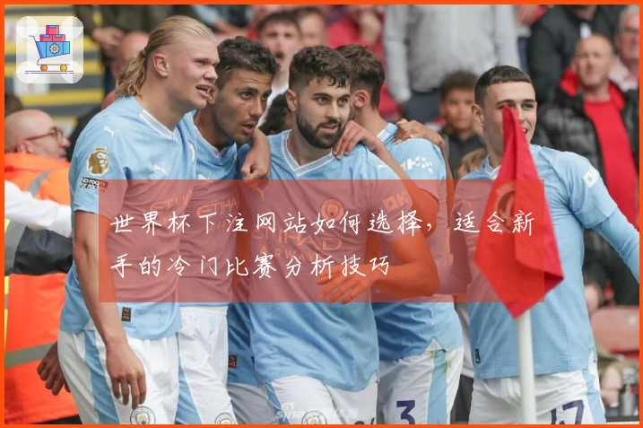 世界杯下注网站如何选择，适合新手的冷门比赛分析技巧