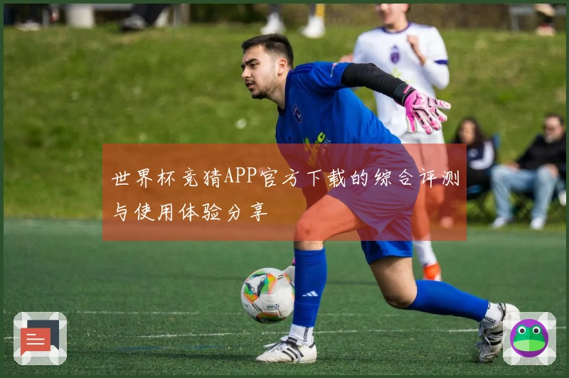 世界杯竞猜APP官方下载的综合评测与使用体验分享