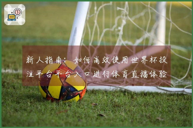 新人指南：如何高效使用世界杯投注平台平台入口进行体育直播体验