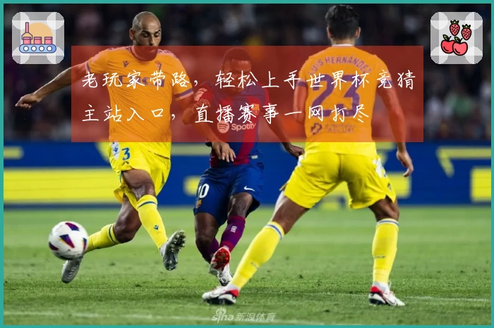 老玩家带路，轻松上手世界杯竞猜主站入口，直播赛事一网打尽