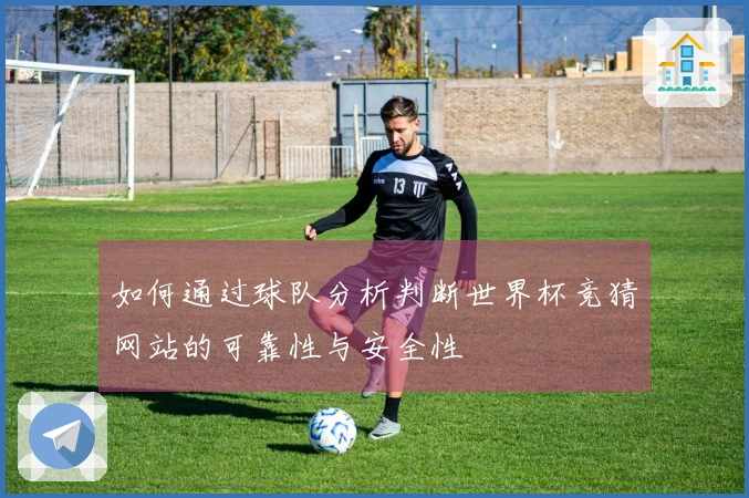 如何通过球队分析判断世界杯竞猜网站的可靠性与安全性