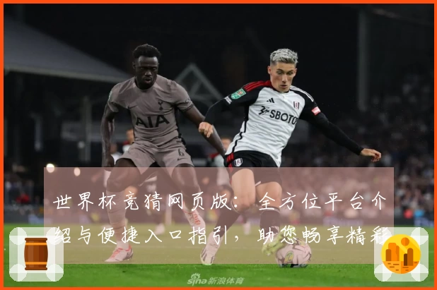 世界杯竞猜网页版：全方位平台介绍与便捷入口指引，助您畅享精彩赛事