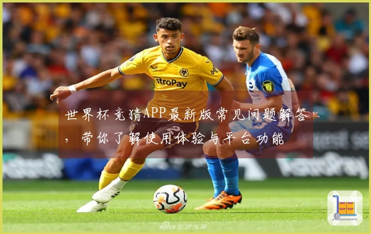 世界杯竞猜APP最新版常见问题解答，带你了解使用体验与平台功能
