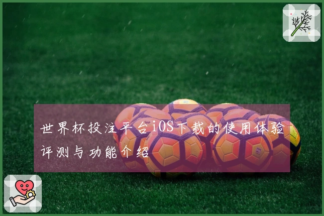 世界杯投注平台iOS下载的使用体验评测与功能介绍