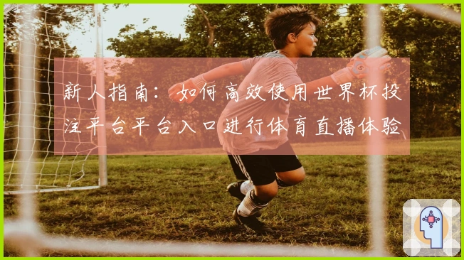 新人指南：如何高效使用世界杯投注平台平台入口进行体育直播体验
