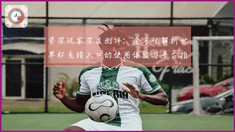 资深玩家深度测评：全方位解析世界杯竞猜入口的使用体验与平台指南