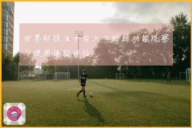 世界杯投注平台入口的新功能观察与使用体验评估