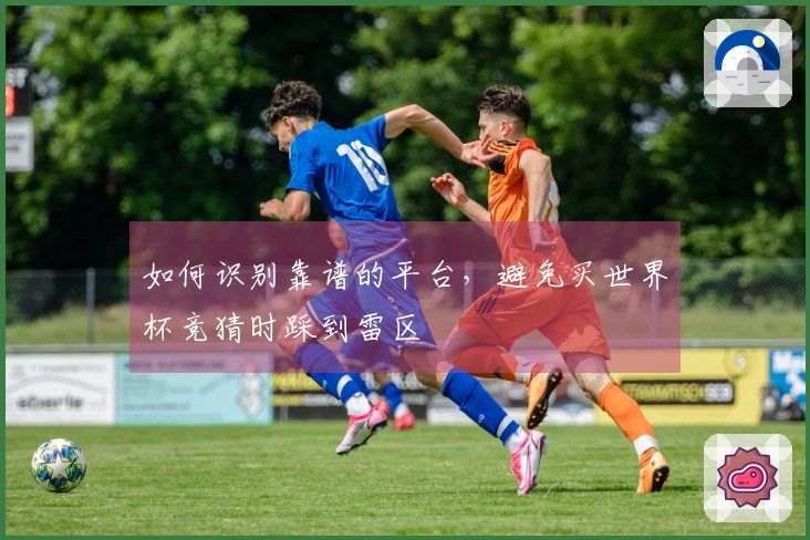 如何识别靠谱的平台，避免买世界杯竞猜时踩到雷区