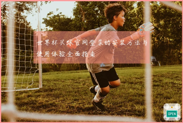 世界杯买球官网登录的安装方法与使用体验全面指南