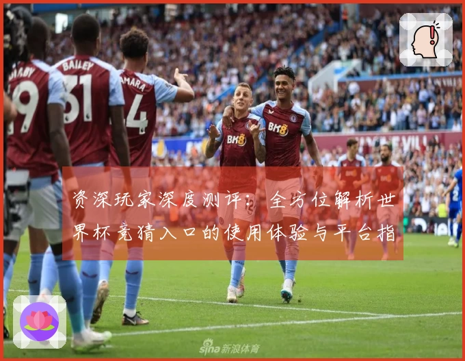 资深玩家深度测评：全方位解析世界杯竞猜入口的使用体验与平台指南