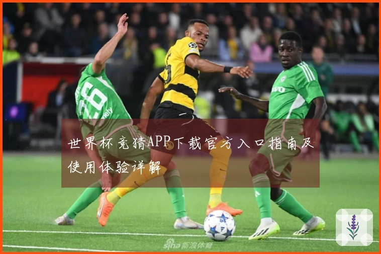 世界杯竞猜APP下载官方入口指南及使用体验详解